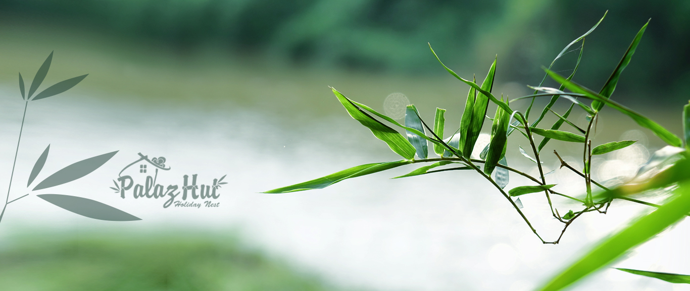 Wayanad Home Stay -Palaz Hut